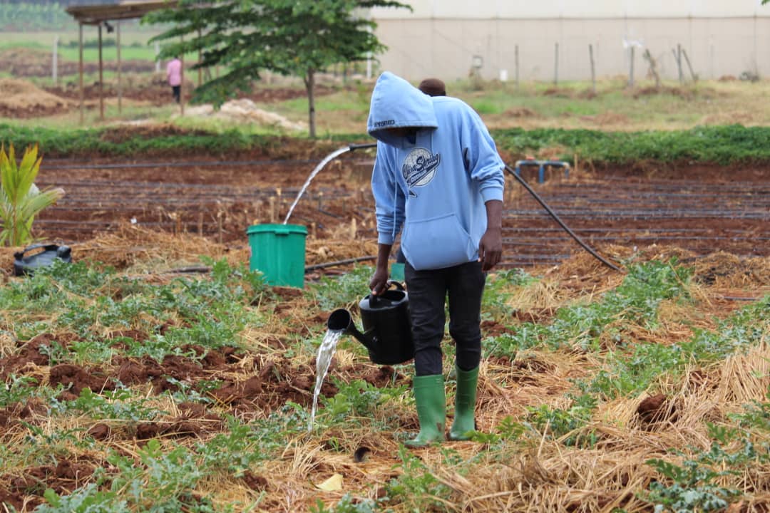 Training On Practical Agriculture and Information Tech Image