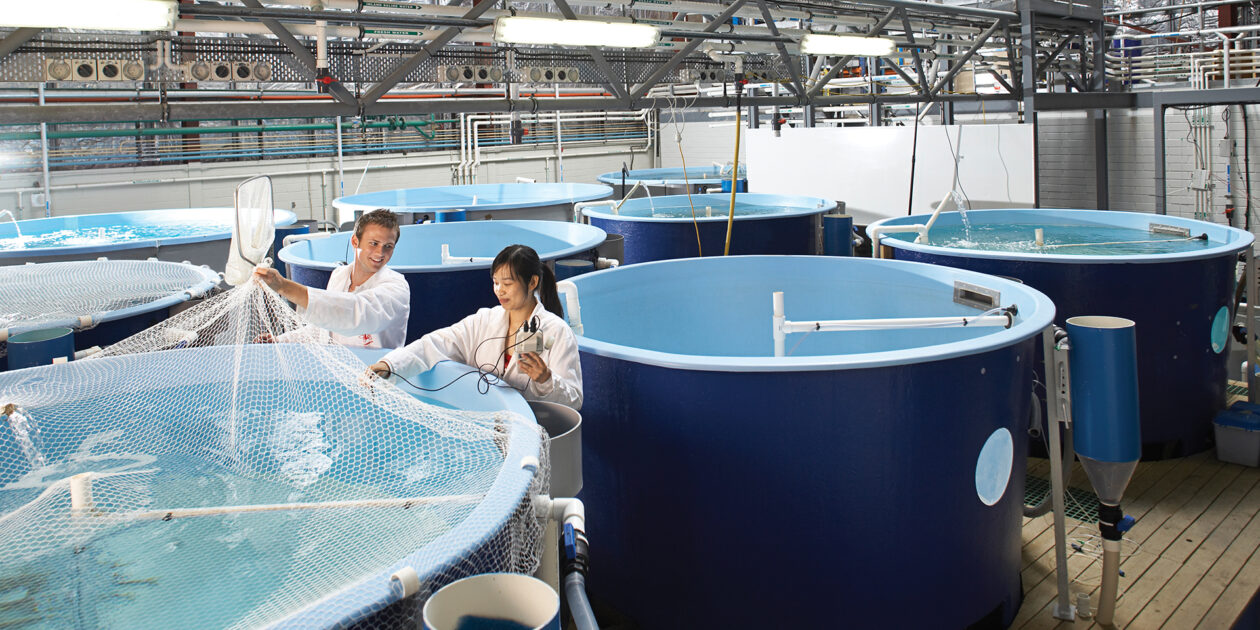 Diploma in Fishery & Fisheries Image